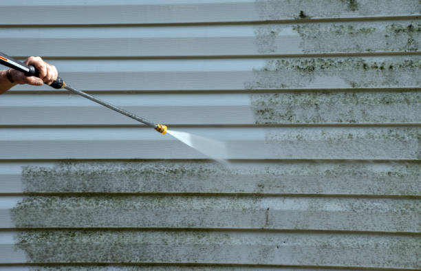 Boat and Dock Cleaning in Troy, AL